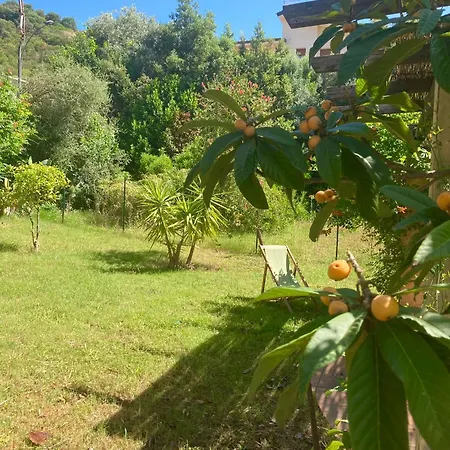 Regina Tatil Evi *