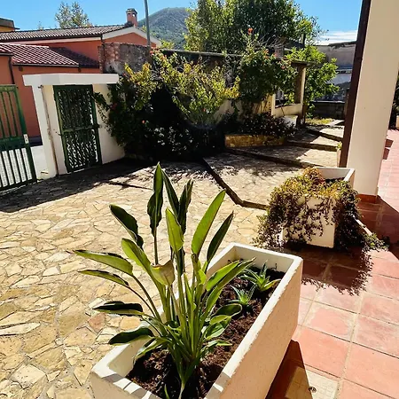 Regina Tatil Evi